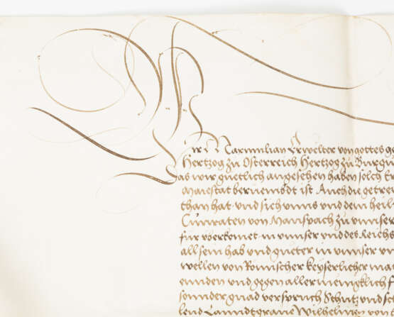 Königlicher Schutzbrief, 16. Jahrhundert - Großformatiger Schutzbrief, - photo 2