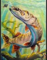 "щука" "щука"