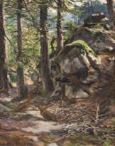 AUERWILD AUF WALDLICHTUNG