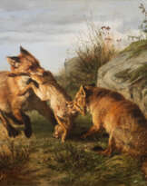 ZWEI FÜCHSE KÄMPFEN UM IHRE BEUTE