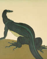 ** WARAN, NACH LINKS, KOPF ZURÜCKGEWANDT