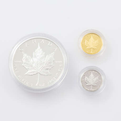 PLATIN/GOLD/SILBER - Kanada, Set aus 1/10 Unze Platin, - photo 2