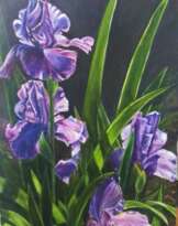 Лилии Лилии