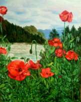 Маки в долине Маки в долине