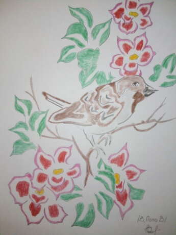 “Sparrow on cherry” Cardboard Pencil Romanticism Everyday life 2020 - photo 1