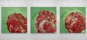 Three meatboards Outside Veganism №11