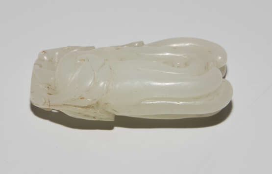 Buddha's Hand Zitrone - photo 5