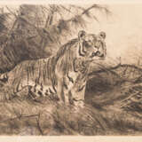KUHNERT, WILHELM (1865-1926), "Tiger im Unterholz", - Foto 1