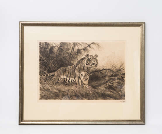 KUHNERT, WILHELM (1865-1926), "Tiger im Unterholz", - Foto 2