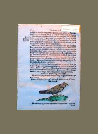Певчая птица Натуральное дерево Смешанная техника Античный период 1610 г. - фото 1