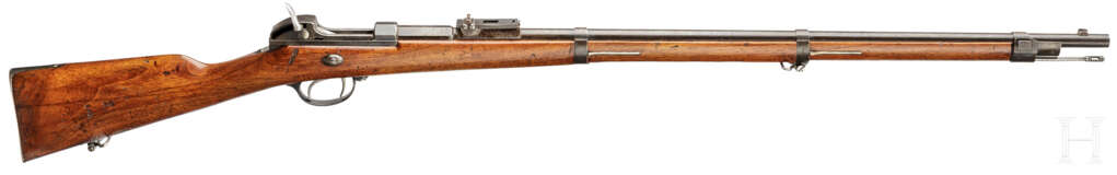 Werdergewehr M1869, OEWG - фото 1