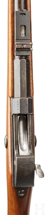 Werdergewehr M1869, OEWG - фото 3