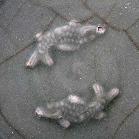 Aussergewöhlich seltene 'Twin Fish'-Schale mit Seladonglasur. CHINA. Wohl Song-Dynastie (960-1279) - Foto 6