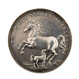 STUTGARDIA DUCATUS - Medaille - Foto 1