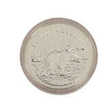 Canada Lot SILBER - - photo 5