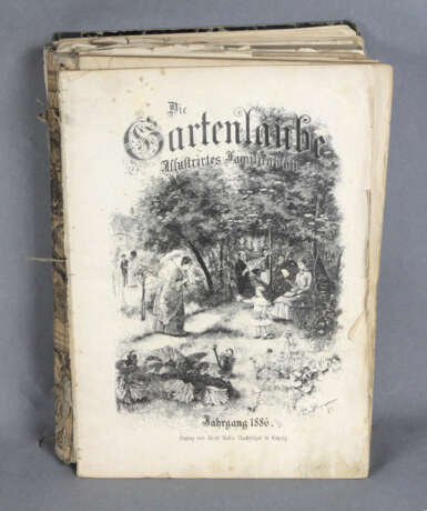 Die Gartenlaube von 1886 - Foto 1