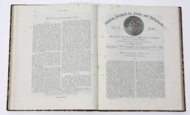 Globus - Zeitschrift von 1881