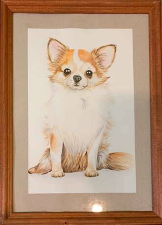 “Chihuahua” Paper Watercolor Animalistic 2019 - photo 1