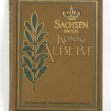 Sachsen unter König Albert - photo 1