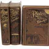 Platen - die Neue Heilmethode 1899 - фото 1