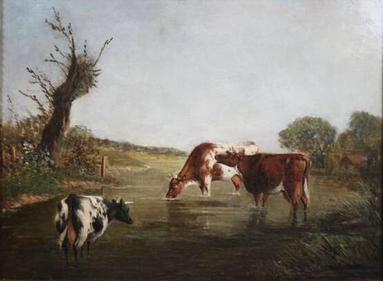Kühe am Wasser - Foto 1