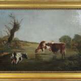 Kühe am Wasser - фото 2