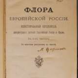 “Flora of European Russia 1908” - photo 2