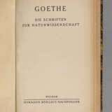 Goethe – Schriften zur Geologie und Mineralogie 1812–1832 - фото 1