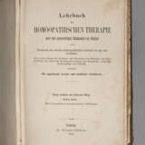 Lehrbuch Homöopathische Therapie - фото 1