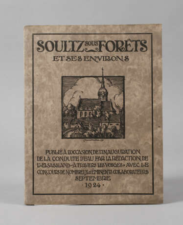 Soultz-sous-Forêts et ses Environs - Foto 1