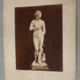 Drei großformatige Fotografien Venus Medici - photo 2