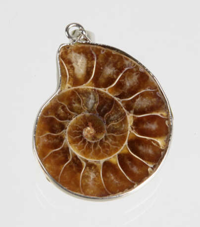 Anhänger mit fossilem Ammonit - photo 1