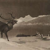 Sir Edwin Henry Landseer, nach, "The Challenge" - Foto 1