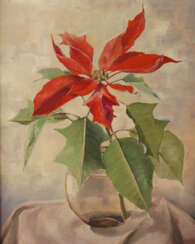 Hilde Ruess-Prinz, Poinsettie in Glasvase