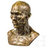 Anatomisches Modell in Bronze, wohl deutsch, um 1900 - photo 1
