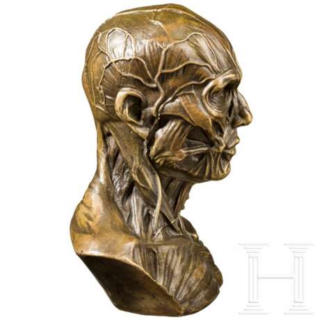 Anatomisches Modell in Bronze, wohl deutsch, um 1900 - photo 2