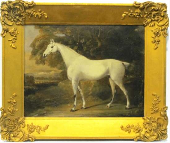 „Weißes Pferd XVIII Jahrhundert“ - Foto 1