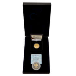 BRD - 100 Euro Fifa 2006, GOLD,