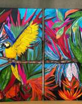 Попугаи Попугаи