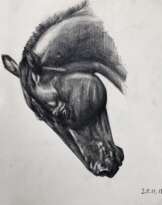 Лошадь Лошадь