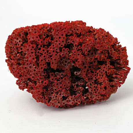Gelehrtenstein/Skulptur in Form einer natürlich gewachsenen roten Koralle, CHINA, um 1920 - photo 3