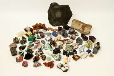 Mineralien, Farbsteine, Fossilien, Sammlung