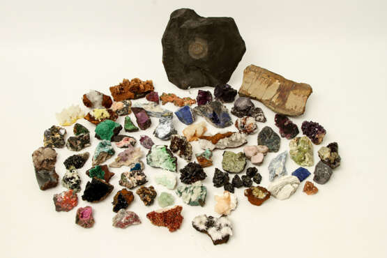 Mineralien, Farbsteine, Fossilien, Sammlung - photo 1