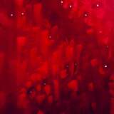 Путь к себе Холст Масляные краски Сюрреализм Мифологическая живопись 2020 г. - фото 2