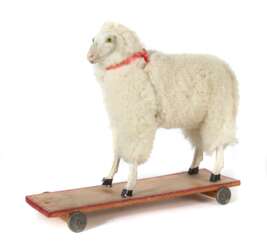 Schaf auf Rollbrett Ca