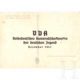 VDA "Volksdeutsches Kameradschaftsopfer" - zehn Ansichtskarten - photo 19