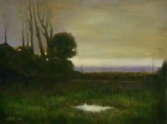 "Evening landscape "