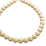 Hochfeine goldene Südsee-Perlenkette - Foto 1
