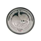 Schweiz und Silbermünzen mit unter anderem 8 x 10 Rubel - Foto 6