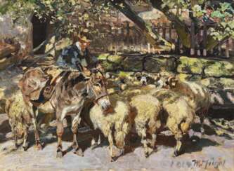 Пастух с овец и мулов 